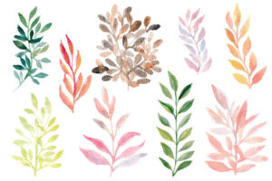 beautiful Autumn Drawing