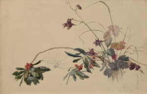 Best Drawing Flowers