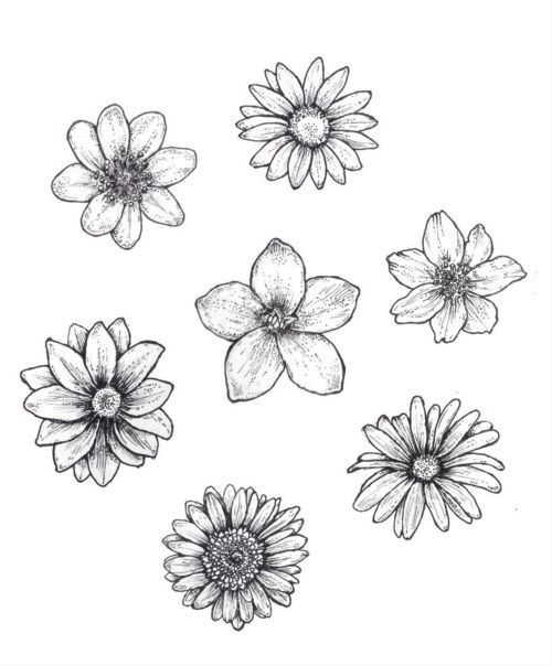 Flower Drawing Ideas