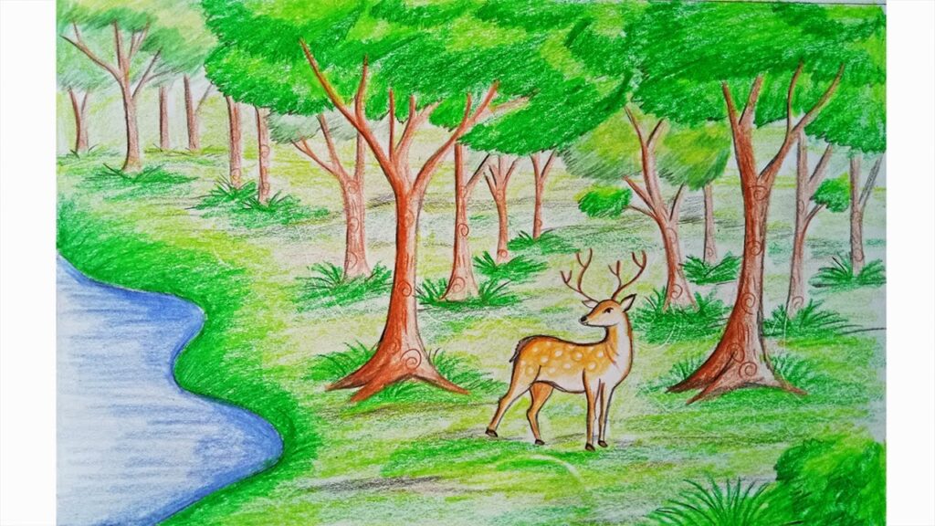 How to Draw a Forest