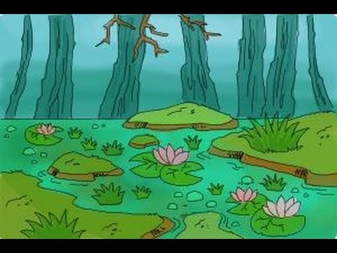 How to Draw a Swamp Pond