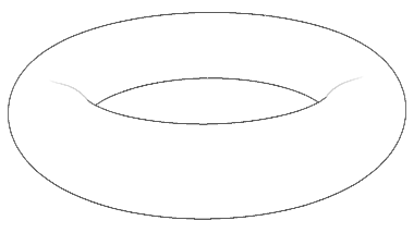 How to Draw a Torus