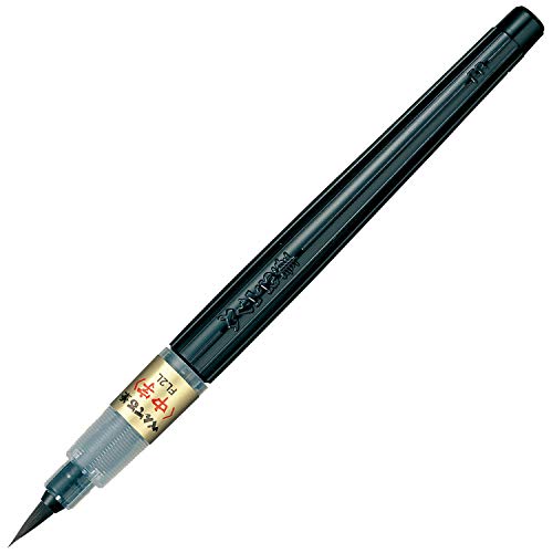 Amazon Ink Brush Pens