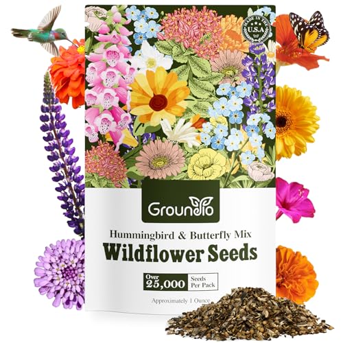 Flowers That Draw Hummingbirds And Butterflies