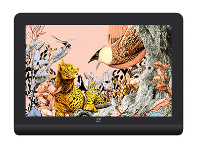 XPPen Artist 22 Plus pen display