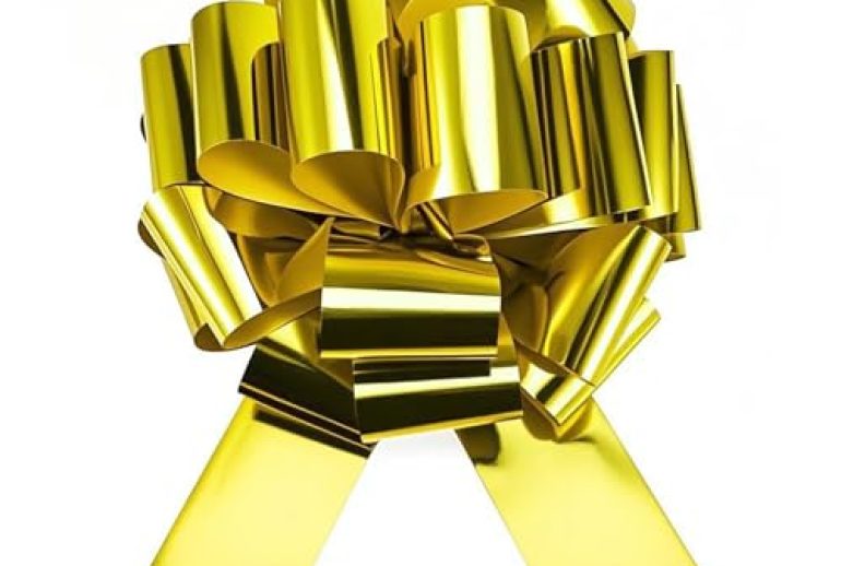 Art Luxury Gift Bow Drawing