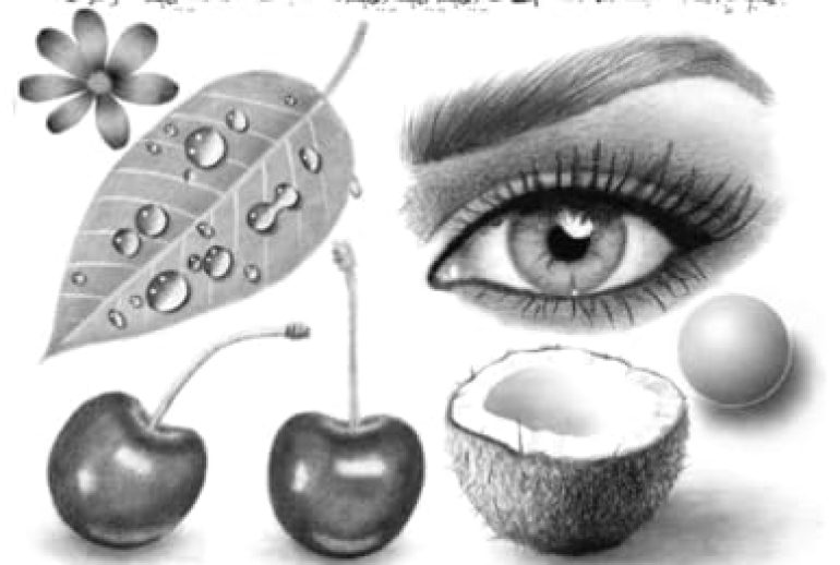 Best Books on Pencil Drawing