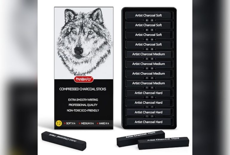 Best Charcoal Sticks for Drawing