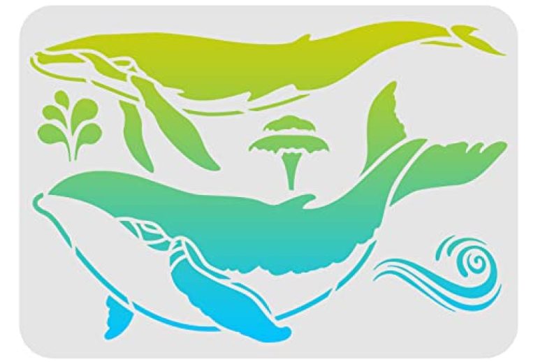Drawings of a Killer Whale