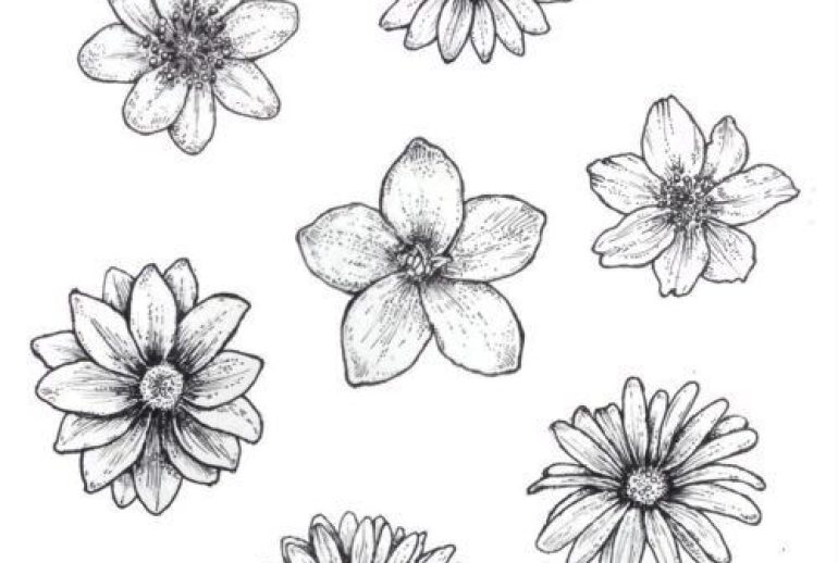 Flower Drawing Ideas