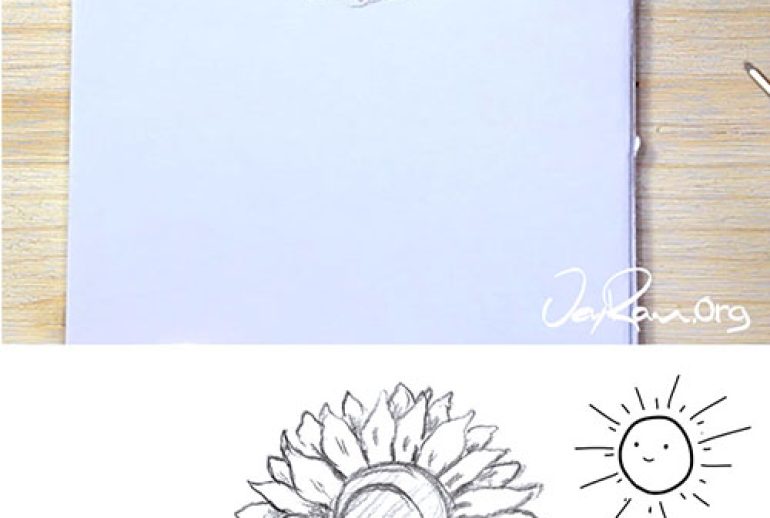 How to Draw a Sunflower