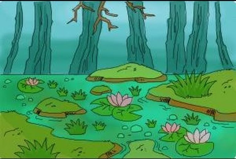 How to Draw a Swamp