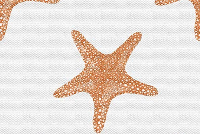 Illustrations/Drawing of Aquatic Animals