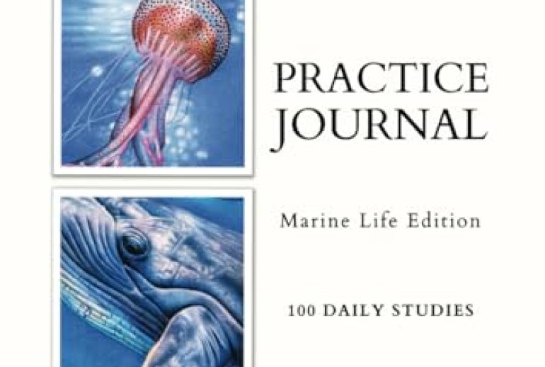 Pictures of Dolphins to Draw
