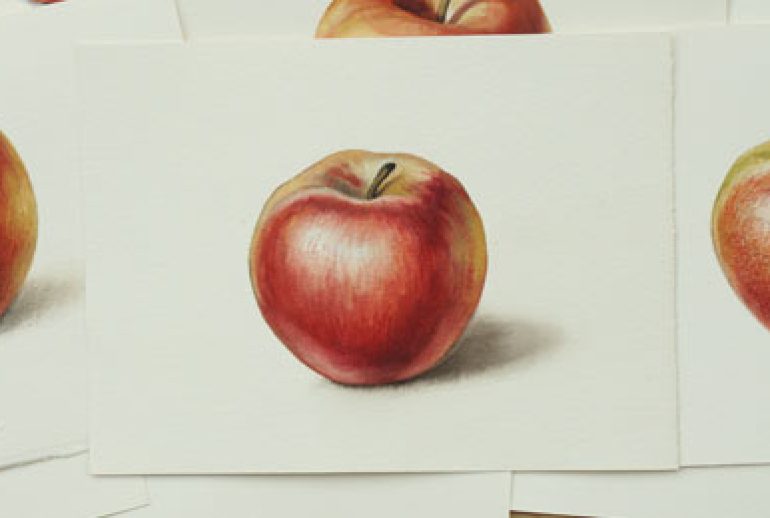 Why Do I Get Frustrated While Drawing?